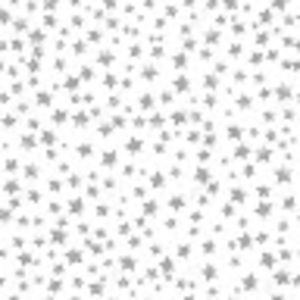 Meet your Posher, Charlotte